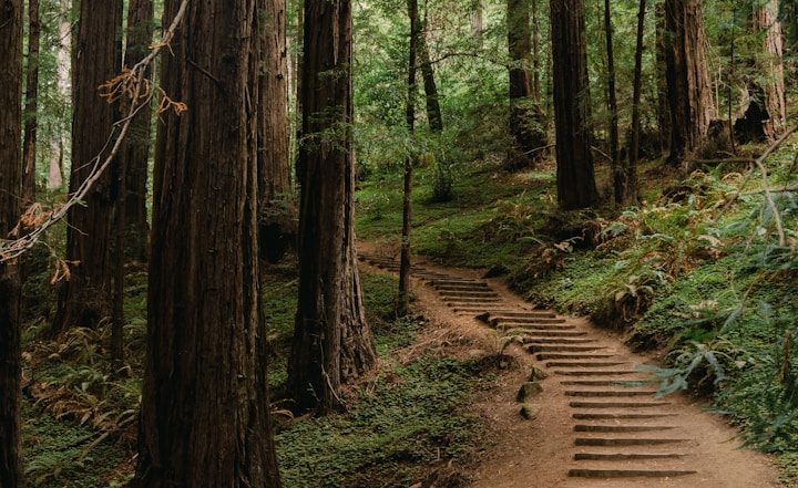 Photo of a person on a videocall on a laptop to a man. An open book is beside the laptop. We see this from over the shoulder of the caller.